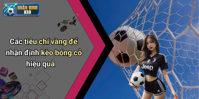 Các tiêu chí vàng để nhận định kèo bóng cỏ hiệu quả