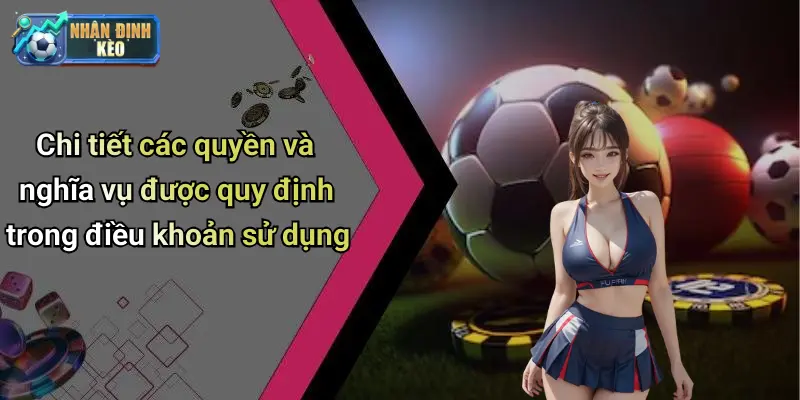 Chi tiết các quyền và nghĩa vụ được quy định trong điều khoản sử dụng