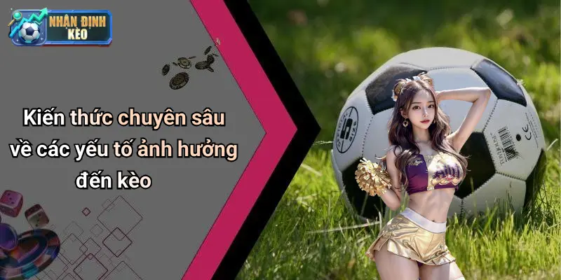 Kiến thức chuyên sâu về các yếu tố ảnh hưởng đến kèo