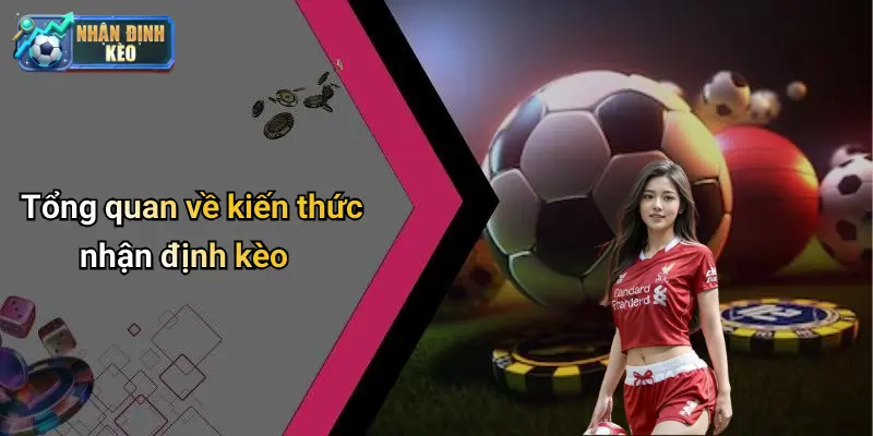 Tổng quan về kiến thức nhận định kèo