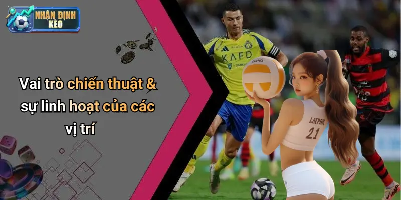 Vai trò chiến thuật & sự linh hoạt của các vị trí
