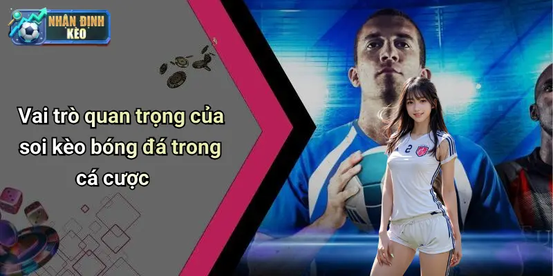 Vai trò quan trọng của soi kèo bóng đá trong cá cược