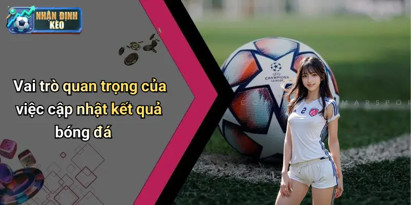 Vai trò quan trọng của việc cập nhật kết quả bóng đá