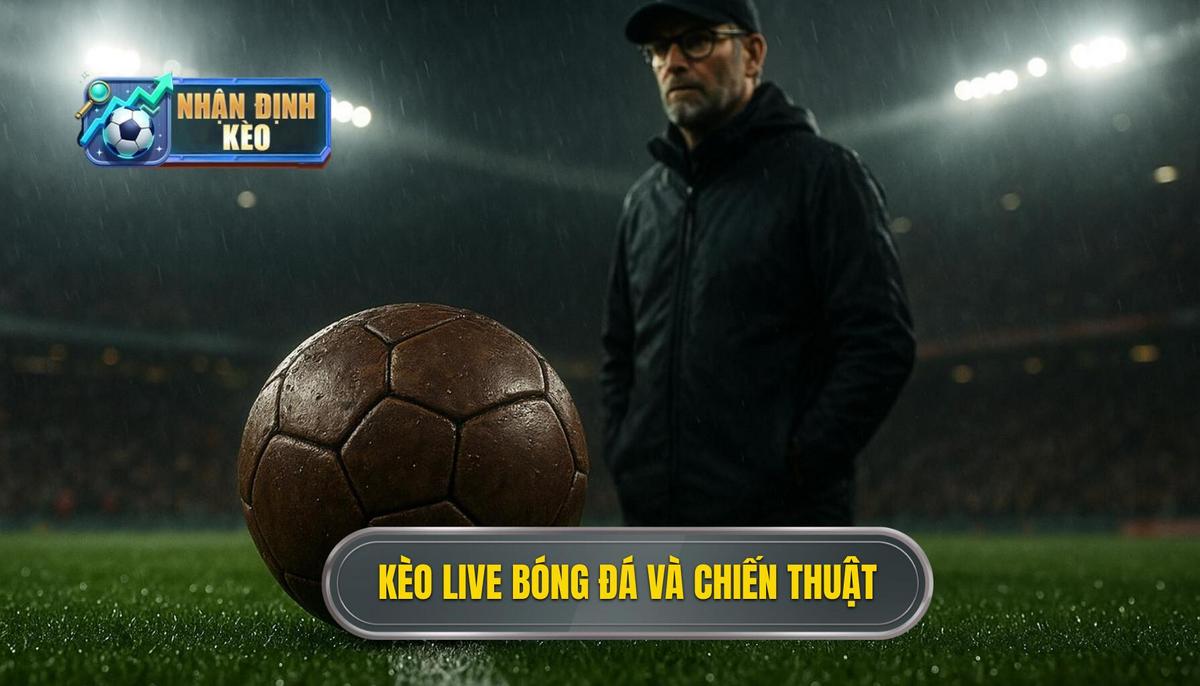 Các loại kèo live bóng đá phổ biến và chiến thuật tiếp cận