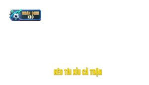 thumb - kèo tài xỉu cả trận