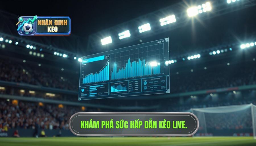 Nhận định kèo live trận đấu là gì? Tại sao lại hấp dẫn đến thế?