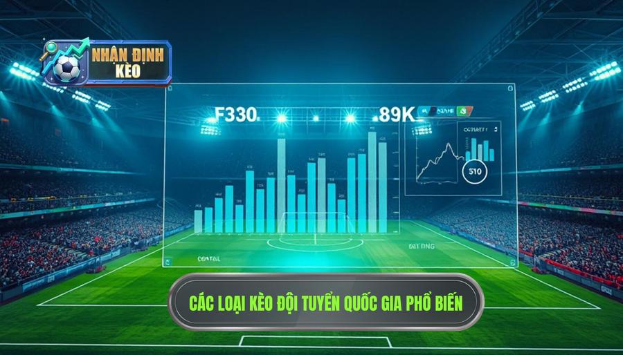 Phân tích các loại kèo đội tuyển quốc gia hôm nay phổ biến