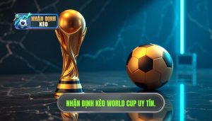 Nhận định kèo World Cup